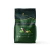 moringa and ginger bliss tea